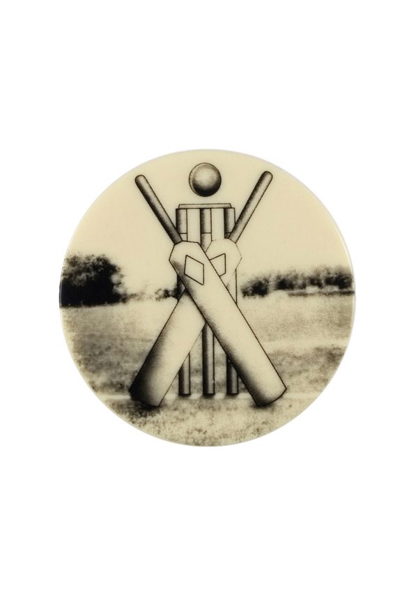 (P) 2in Cricket