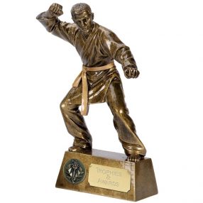 Martial Arts Trophies