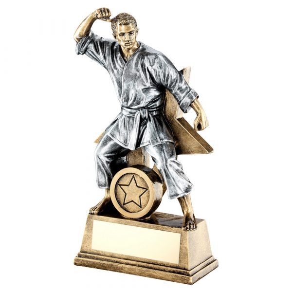 BRZ/GOLD/PEW MALE MARTIAL ARTS FIGURE WITH STAR BACKING TROPHY