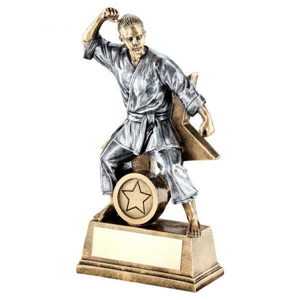 BRZ/GOLD/PEW FEMALE MARTIAL ARTS FIGURE WITH STAR BACKING TROPHY