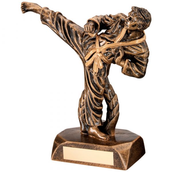BRZ/GOLD RESIN KARATE FIGURE TROPHY