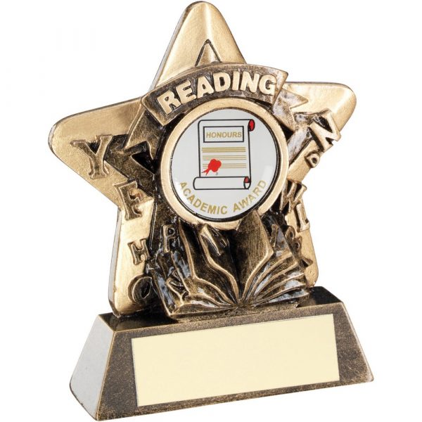 BRZ/GOLD READING MINI STAR TROPHY 