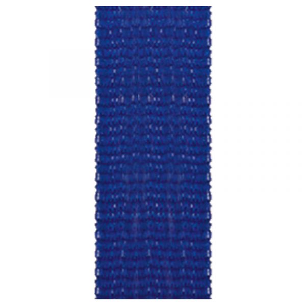 Aura/Cosmos Ribbon Blue 28 Inch x