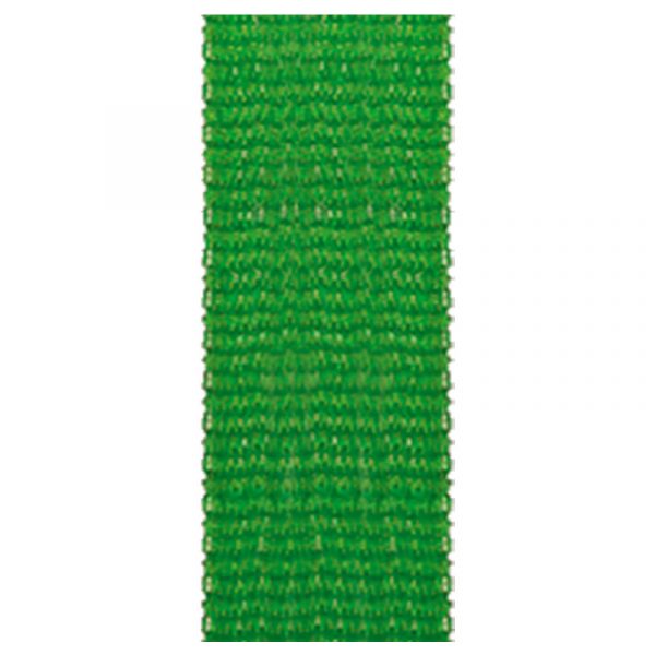 Aura/Cosmos Ribbon Green 28 Inch x