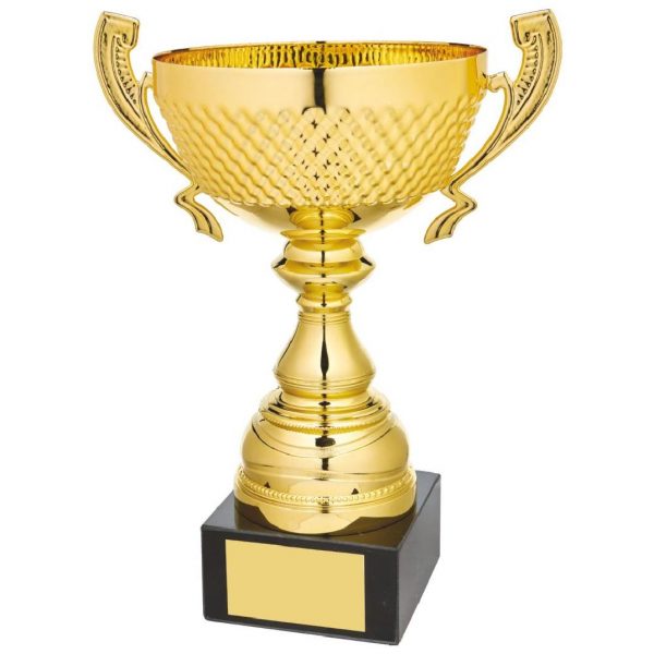 Gold Patterned Bowl Award with Handles