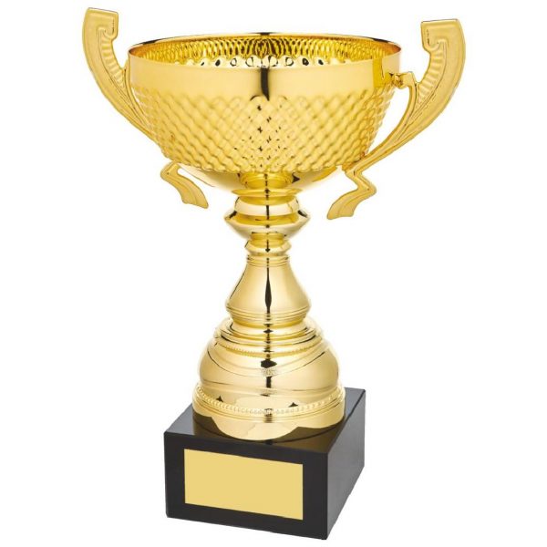 Gold Patterned Bowl Award with Handles