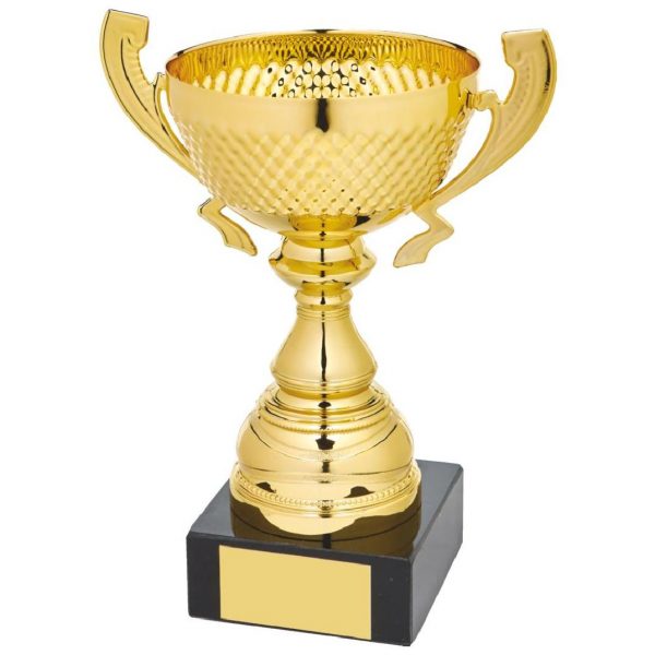 Gold Patterned Bowl Award with Handles